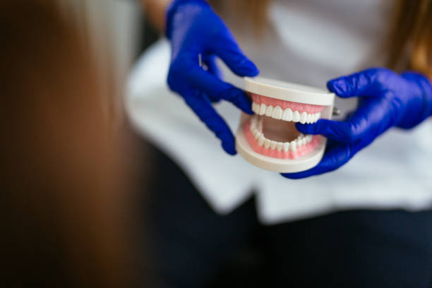 Best Dentures (Full and Partial)  in Bourbonnais, IL